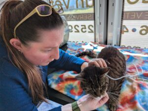 Jess taking care of a cat in the van